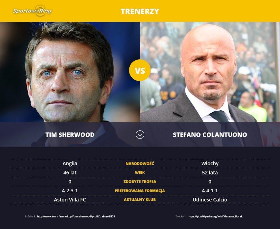 tim-sherwood-vs-stefano-colantuono-sportowyring-com